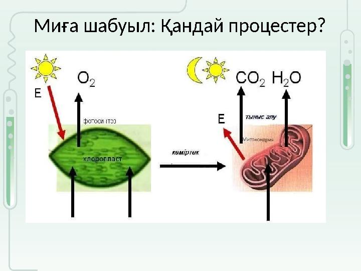 Миға шабуыл: Қандай процестер?
