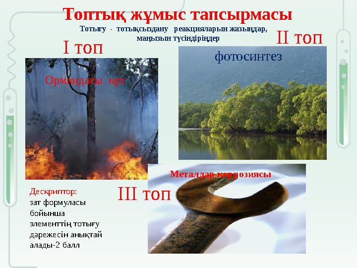 Топтық жұмыс тапсырмасы Тотығу - тотықсыздану реакцияларын жазыңдар, маңызын түсіндіріңдер Ормандағы өрт фотосинтез Ме