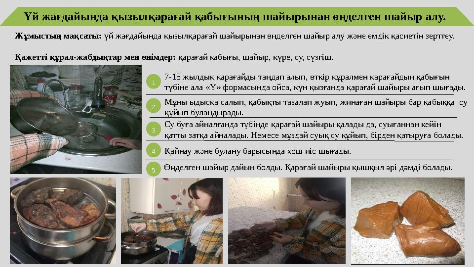 Үй жағдайында қызылқарағай қабығының шайырынан өңделген шайыр алу. Жұмыстың мақсаты: үй жағдайында қызылқарағай шайырынан өңделг