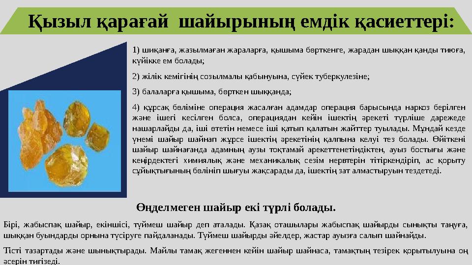 Қызыл қарағай шайырының емдік қасиеттері: 1) шиқанға, жазылмаған жараларға, қышыма бөрткенге, жарадан шыққан қанды тиюға, күйі