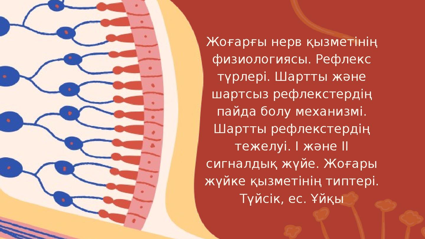 Онлайн порно үлкен клитор Қыздар жігіттің жұлқынғанын көргенді ұнатады.