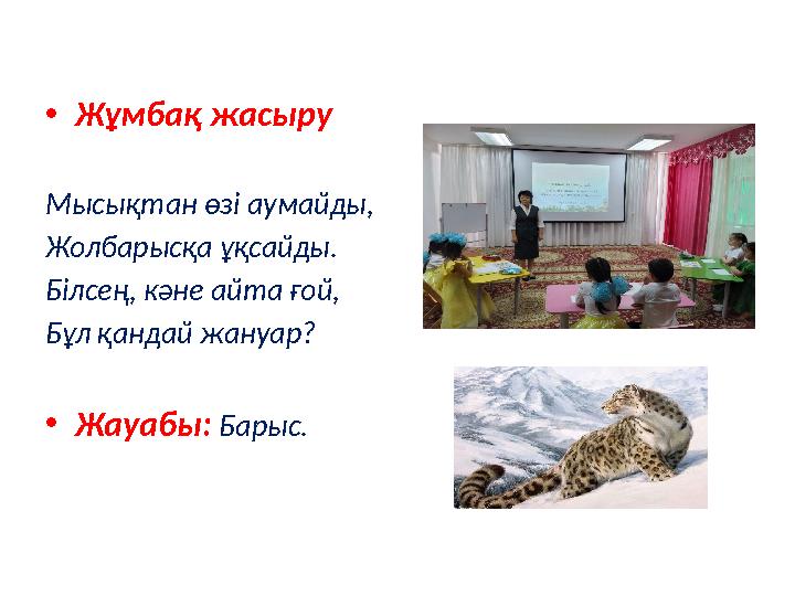 •Жұмбақ жасыру Мысықтан өзі аумайды, Жолбарысқа ұқсайды. Білсең, кәне айта ғой, Бұл қандай жануар? •Жауабы: Барыс.