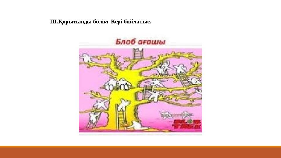 III.Қорытынды бөлім Кері байланыс.