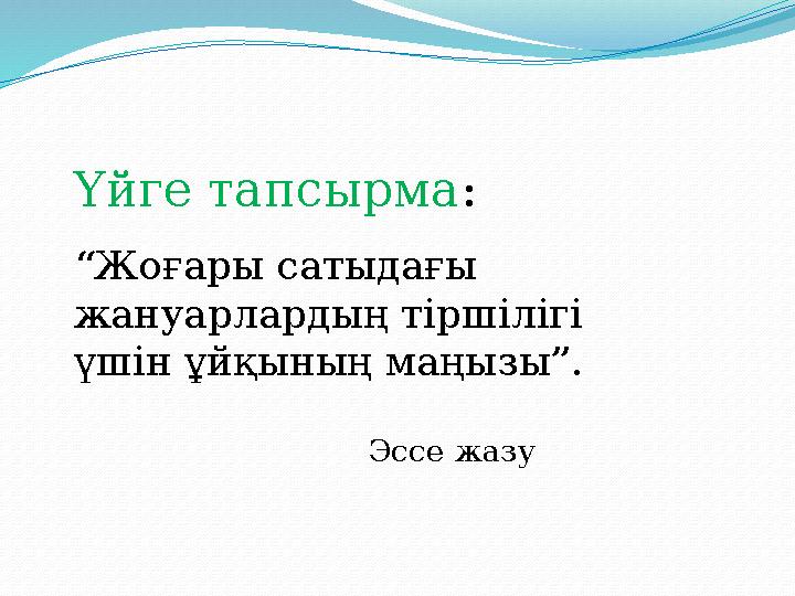Үйге тапсырма: “Жоғары сатыдағы жануарлардың тіршілігі үшін ұйқының маңызы”. Эссе жазу