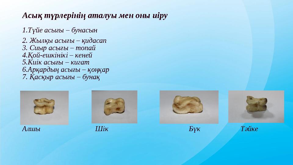 Acық түрлерінің аталуы мен оны иіру 1.Түйе acығы – бунасын 2. Жылқы асығы – қидасап 3. Сиыр acығы – топай 4.Қой-ешкінікі – кен Acық түрлерінің аталуы мен оны иіру 1.Түйе acығы – бунасын 2. Жылқы асығы – қидасап 3. Сиыр acығы – топай 4.Қой-ешкінікі – кен