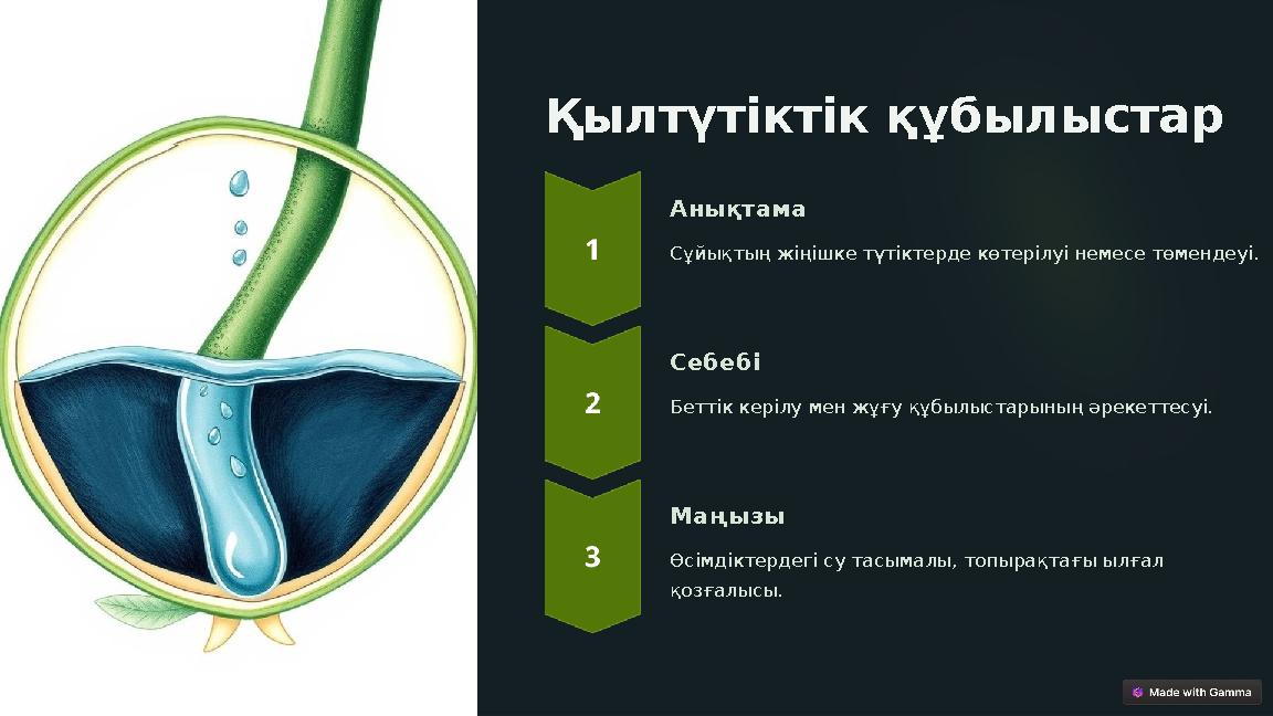 Қылтүтіктік құбылыстар Анықтама Сұйықтың жіңішке түтіктерде көтерілуі немесе төмендеуі. Себебі Беттік керілу мен жұғу құбылыста Қылтүтіктік құбылыстар Анықтама Сұйықтың жіңішке түтіктерде көтерілуі немесе төмендеуі. Себебі Беттік керілу мен жұғу құбылыста