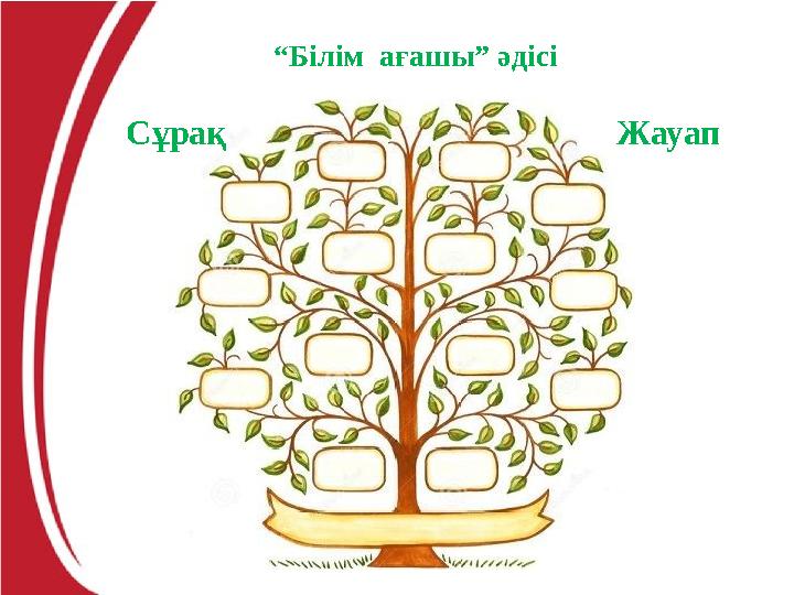 “Білім ағашы” әдісі Сұрақ Жауап