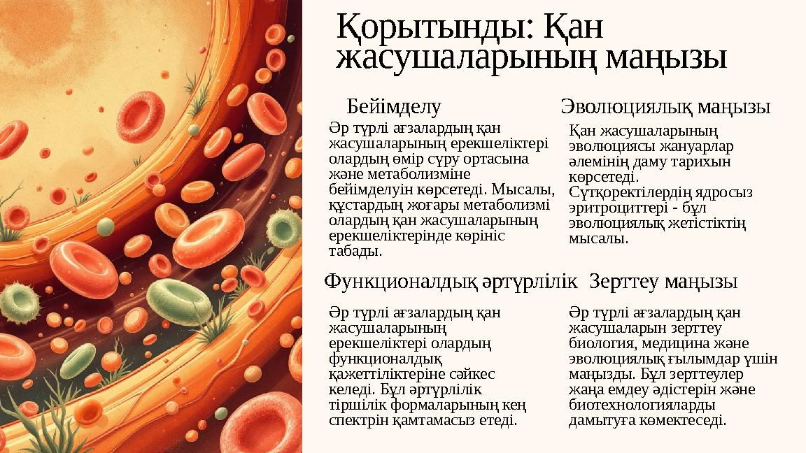 Қорытынды: Қан жасушаларының маңызы Бейімделу Әр түрлі ағзалардың қан жасушаларының ерекшеліктері олардың өмір сүру ортасына