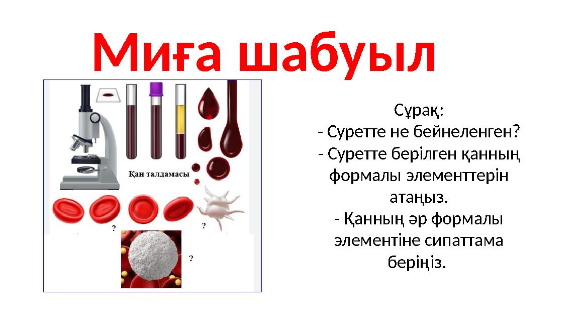 Миға шабуыл Сұрақ: - Суретте не бейнеленген? - Суретте берілген қанның формалы элементтерін атаңыз. - Қанның әр формалы элеме