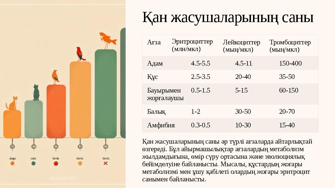 Қан жасушаларының саны АғзаЭритроциттер (млн/мкл) Лейкоциттер (мың/мкл) Тромбоциттер (мың/мкл) Адам 4.5-5.5 4.5-11 150-400