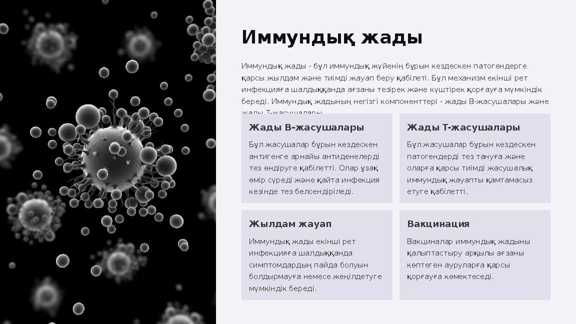 Иммундық жады Иммундық жады - бұл иммундық жүйенің бұрын кездескен патогендерге қарсы жылдам және тиімді жауап беру қабілеті. Б