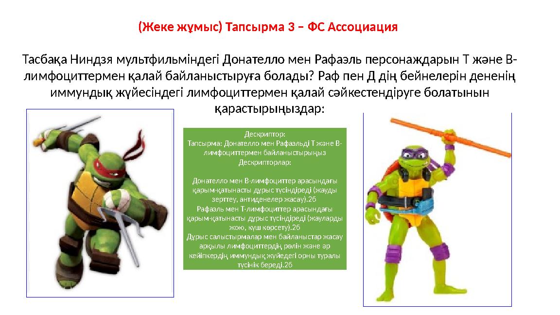 (Жеке жұмыс) Тапсырма 3 – ФС Ассоциация Тасбақа Ниндзя мультфильміндегі Донателло мен Рафаэль персонаждарын Т және В- лимфоцитт