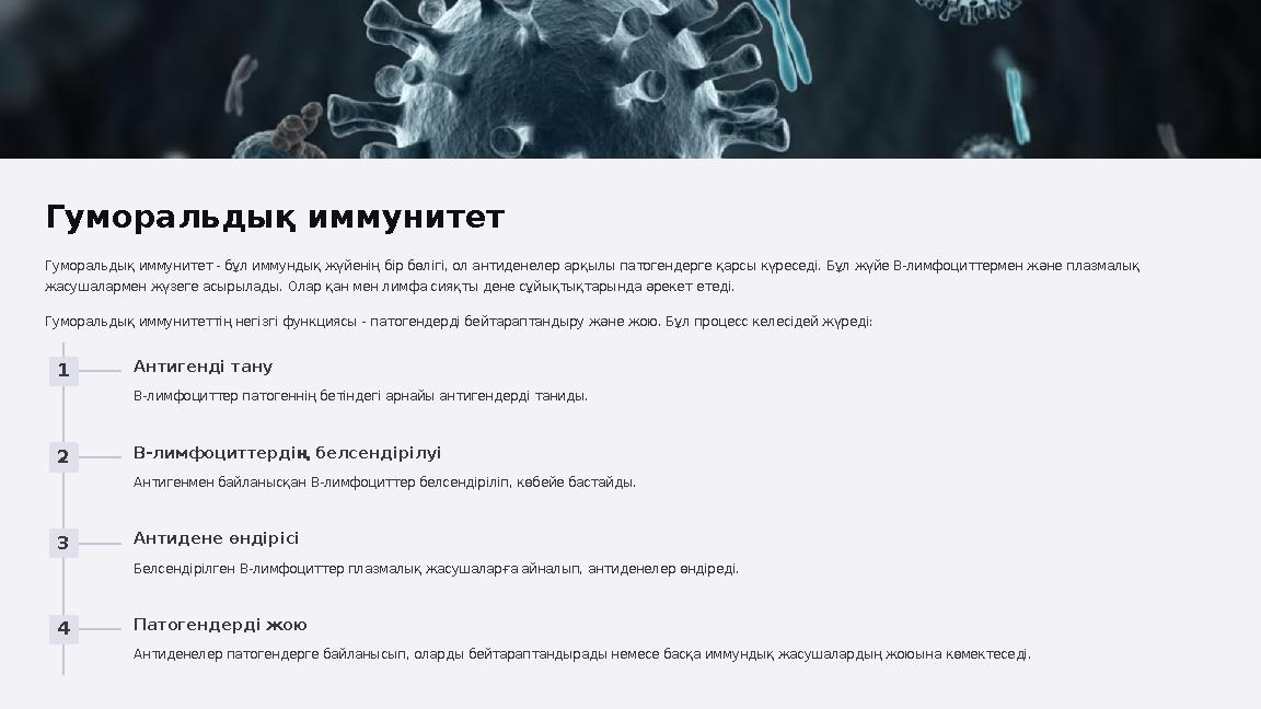 Гуморальдық иммунитет Гуморальдық иммунитет - бұл иммундық жүйенің бір бөлігі, ол антиденелер арқылы патогендерге қарсы күреседі