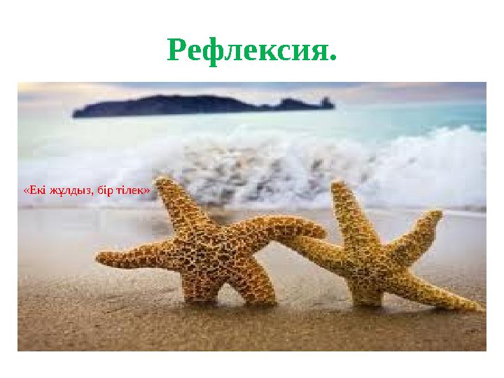 Рефлексия. «Екі жұлдыз, бір тілек»