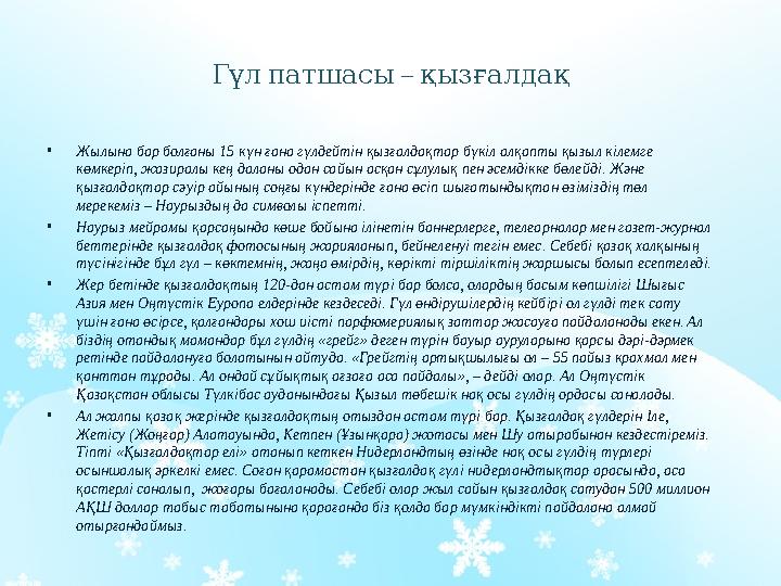 – Гүлпатшасы қызғалдақ •Жылына бар болғаны 15 күн ғана гүлдейтін қызғалдақтар бүкіл алқапты қызыл кілемге көмкеріп, жазиралы – Гүлпатшасы қызғалдақ •Жылына бар болғаны 15 күн ғана гүлдейтін қызғалдақтар бүкіл алқапты қызыл кілемге көмкеріп, жазиралы