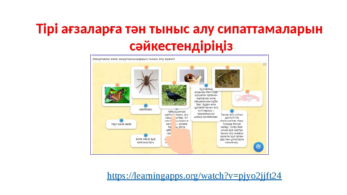Тірі ағзаларға тән тыныс алу сипаттамаларын сәйкестендіріңіз https://learningapps.org/watch?v=pjyo2jjft24