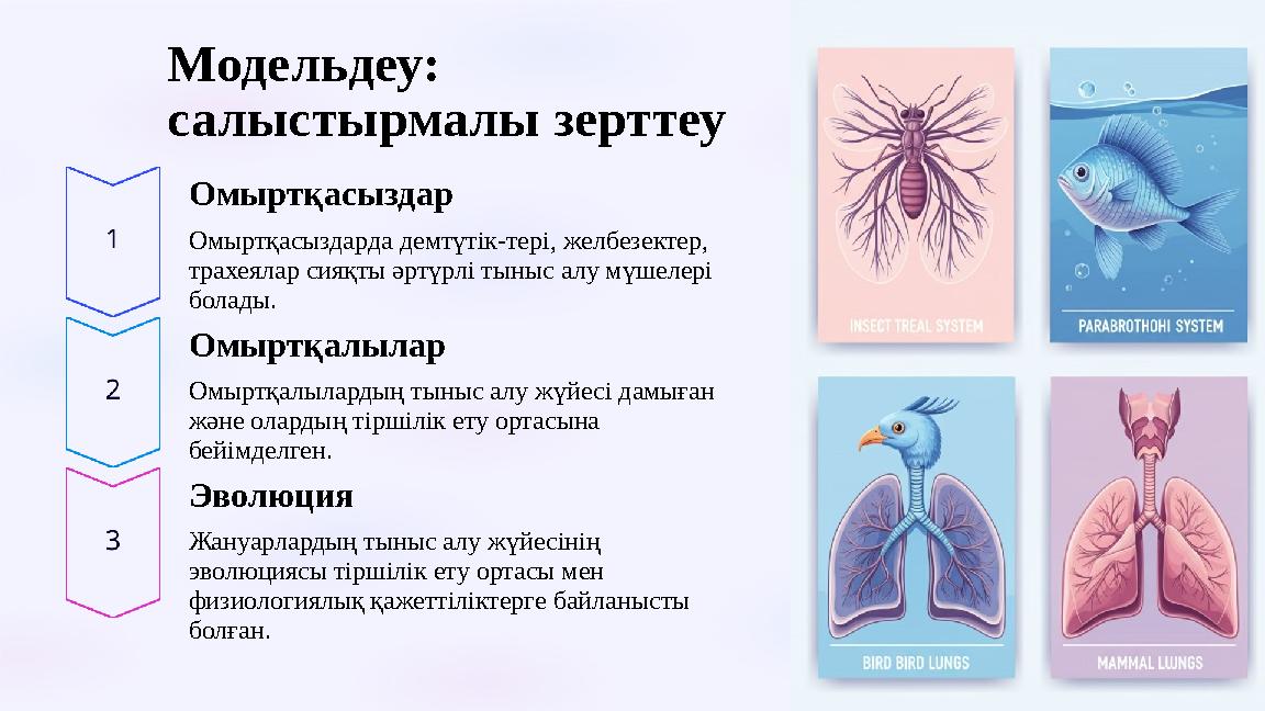Модельдеу: салыстырмалы зерттеу Омыртқасыздар Омыртқасыздарда демтүтік-тері, желбезектер, трахеялар сияқты әртүрлі тыныс алу