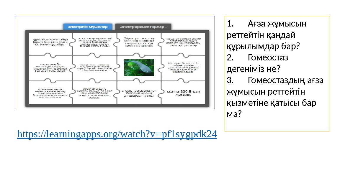 https://learningapps.org/watch?v=pf1sygpdk24 1.Ағза жұмысын реттейтін қандай құрылымдар бар? 2.Гомеостаз дегеніміз не? 3.Го