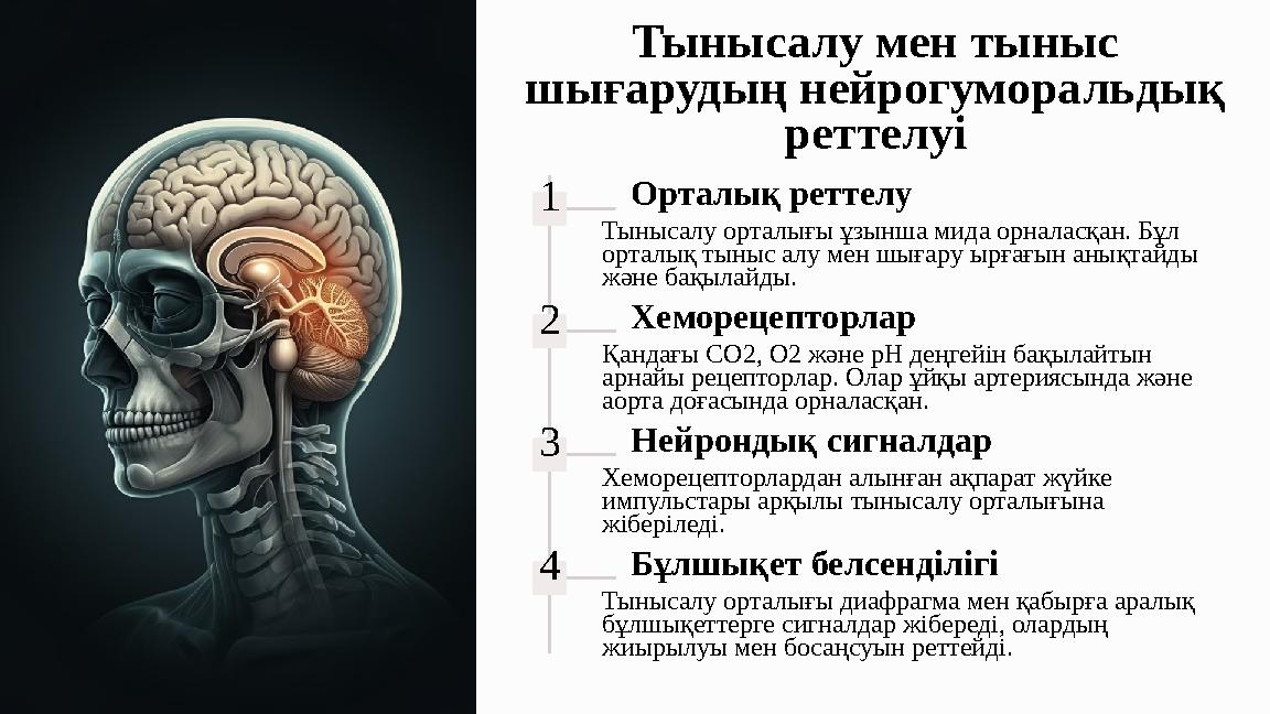 Тынысалу мен тыныс шығарудың нейрогуморальдық реттелуі 1Орталық реттелу Тынысалу орталығы ұзынша мида орналасқан. Бұл орталық