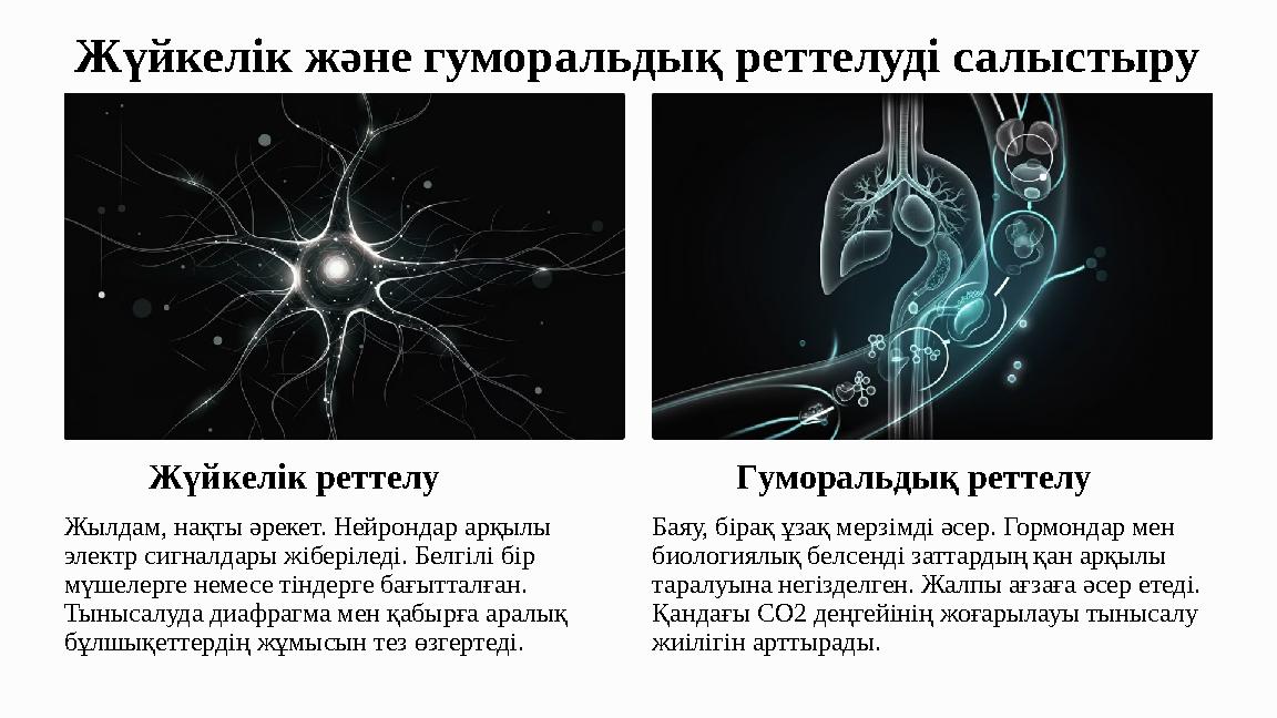 Жүйкелік және гуморальдық реттелуді салыстыру Жүйкелік реттелу Жылдам, нақты әрекет. Нейрондар арқылы электр сигналдары жіберіл