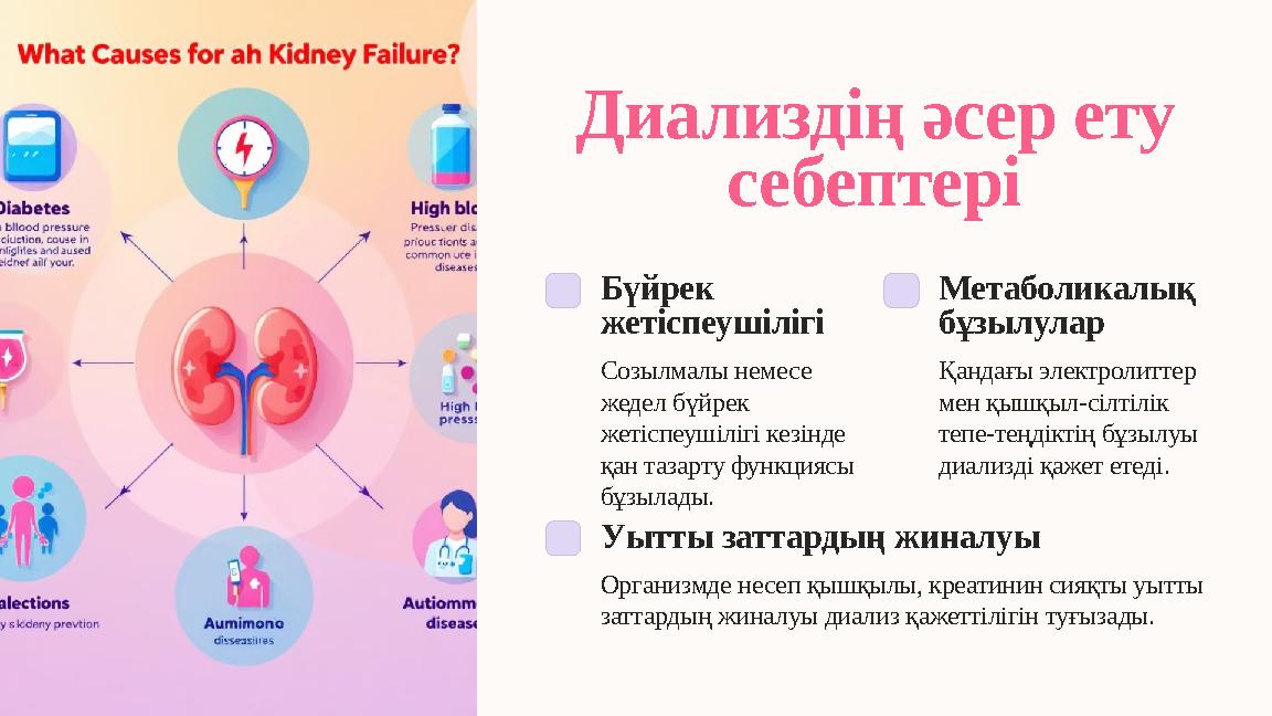 Диализдің әсер ету себептері Бүйрек жетіспеушілігі Созылмалы немесе жедел бүйрек жетіспеушілігі кезінде қан тазарту функция