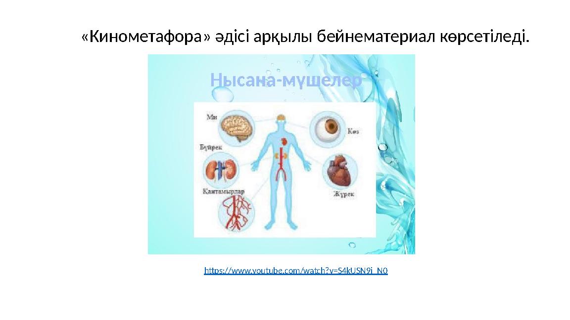 «Кинометафора» әдісі арқылы бейнематериал көрсетіледі. https://www.youtube.com/watch?v=S4kUSN9i_N0