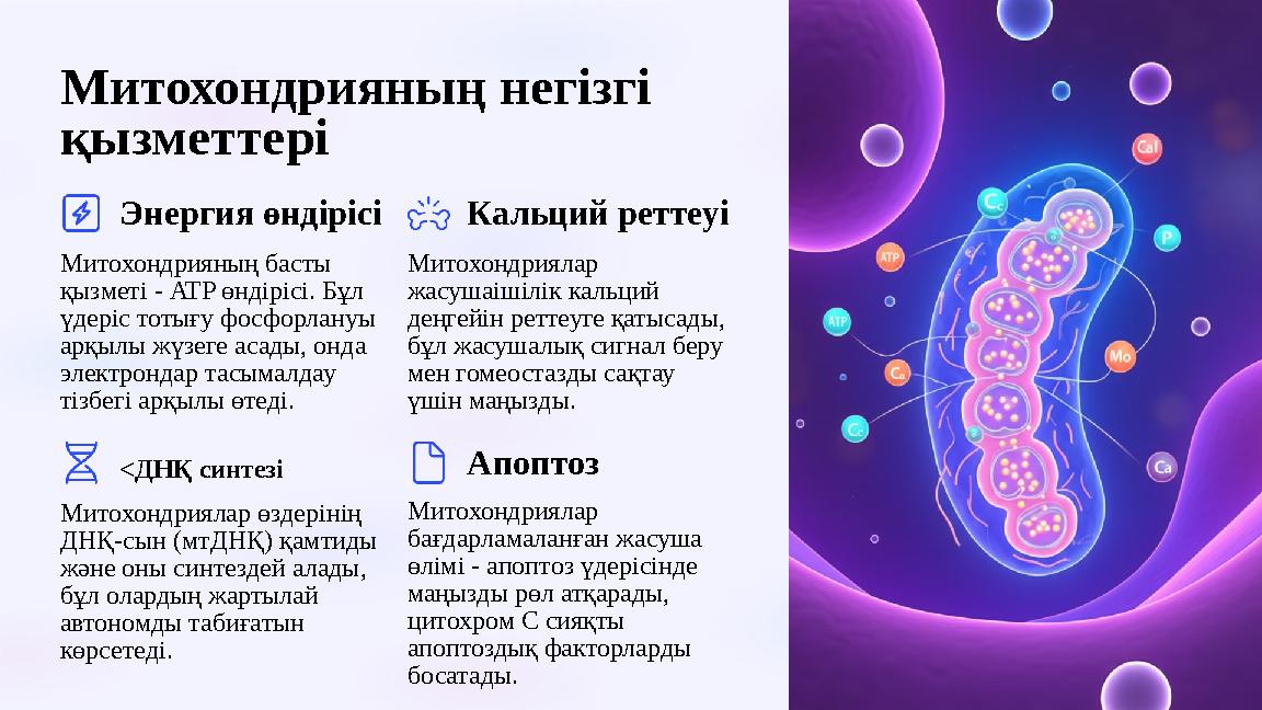 Митохондрияның негізгі қызметтері Энергия өндірісі Митохондрияның басты қызметі - ATP өндірісі. Бұл үдеріс тотығу фосфорлану