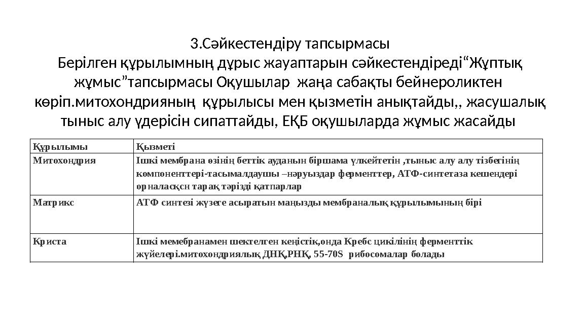 3.Cәйкестендіру тапсырмасы Берілген құрылымның дұрыс жауаптарын сәйкестендіреді“Жұптық жұмыс”тапсырмасы Оқушылар жаңа сабақты