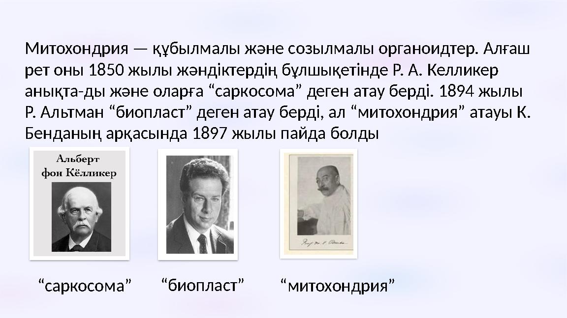 Митохондрия — құбылмалы және созылмалы органоидтер. Алғаш рет оны 1850 жылы жәндіктердің бұлшықетінде Р. А. Келликер анықта-д
