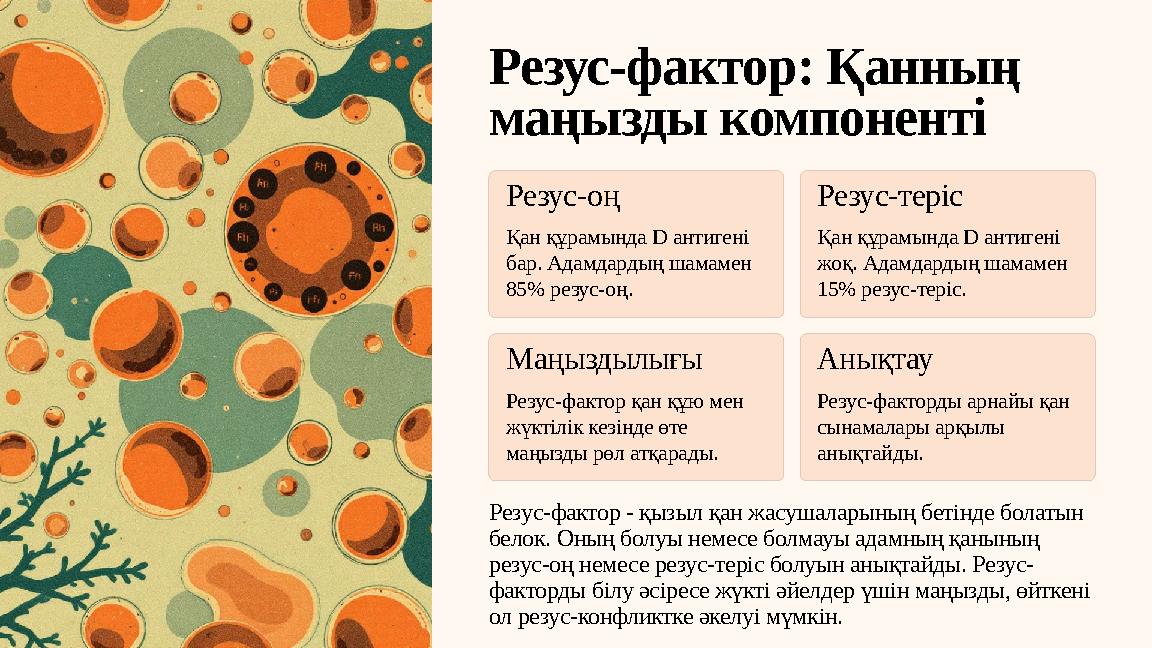 Резус-фактор: Қанның маңызды компоненті Резус-оң Қан құрамында D антигені бар. Адамдардың шамамен 85% резус-оң. Резус-теріс Қ