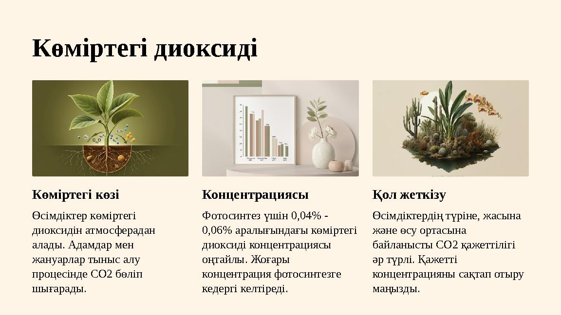 Көміртегі диоксиді Көміртегі көзі Өсімдіктер көміртегі диоксидін атмосферадан алады. Адамдар мен жануарлар тыныс алу процесі