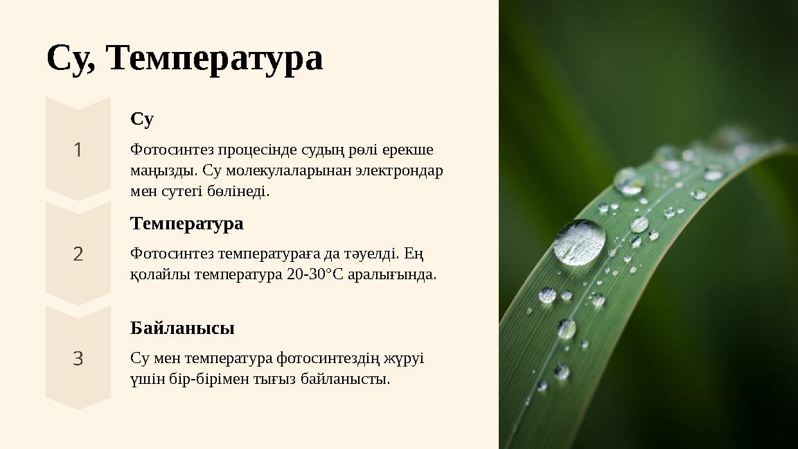 Су, Температура Су Фотосинтез процесінде судың рөлі ерекше маңызды. Су молекулаларынан электрондар мен сутегі бөлінеді. Темпер