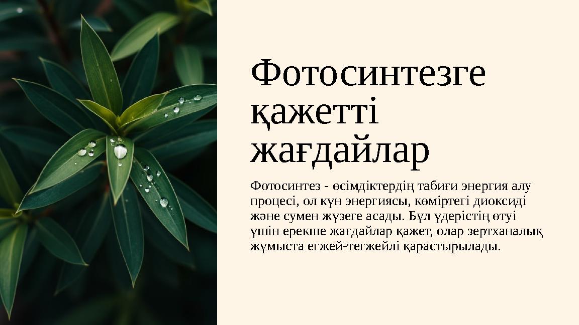 Фотосинтезге қажетті жағдайлар Фотосинтез - өсімдіктердің табиғи энергия алу процесі, ол күн энергиясы, көміртегі диоксиді ж