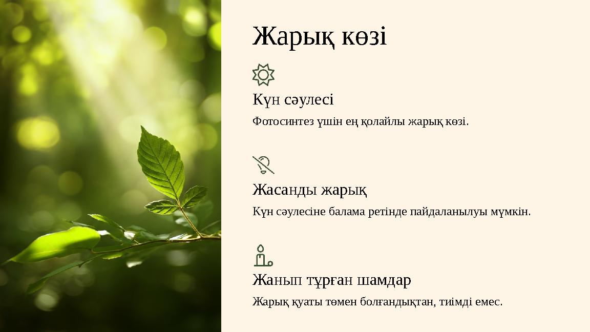 Жарық көзі Күн сәулесі Фотосинтез үшін ең қолайлы жарық көзі. Жасанды жарық Күн сәулесіне балама ретінде пайдаланылуы мүмкін. Жа