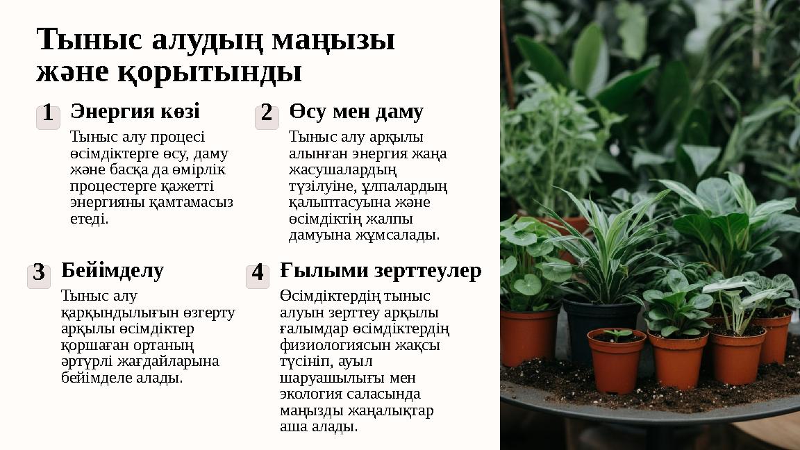 Тыныс алудың маңызы және қорытынды 1Энергия көзі Тыныс алу процесі өсімдіктерге өсу, даму және басқа да өмірлік процестерге