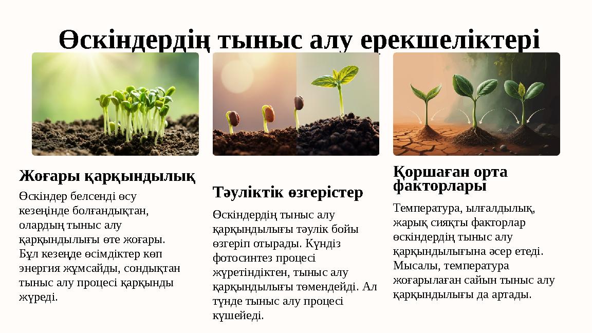 Өскіндердің тыныс алу ерекшеліктері Жоғары қарқындылық Өскіндер белсенді өсу кезеңінде болғандықтан, олардың тыныс алу қарқын