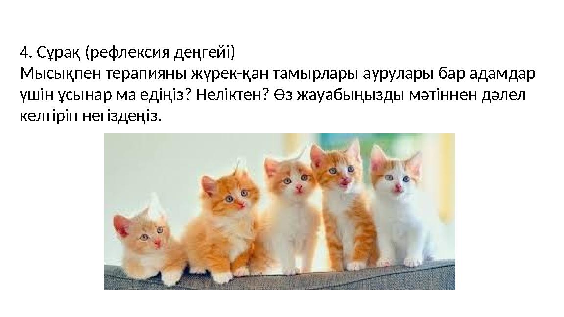 4. Сұрақ (рефлексия деңгейі) Мысықпен терапияны жүрек-қан тамырлары аурулары бар адамдар үшін ұсынар ма едіңіз? Неліктен? Өз жа