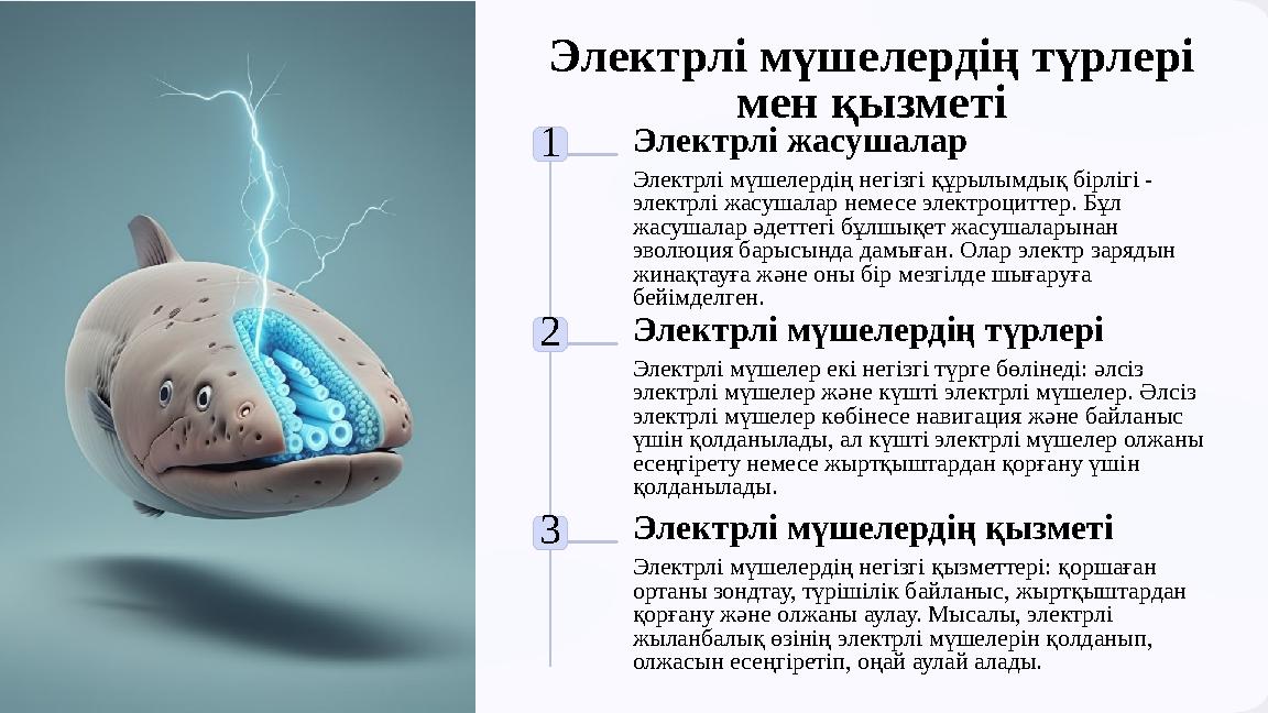 Электрлі мүшелердің түрлері мен қызметі 1 Электрлі жасушалар Электрлі мүшелердің негізгі құрылымдық бірлігі - электрлі жасуша