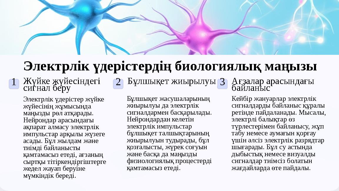 Электрлік үдерістердің биологиялық маңызы 1Жүйке жүйесіндегі сигнал беру Электрлік үдерістер жүйке жүйесінің жұмысында маңыз