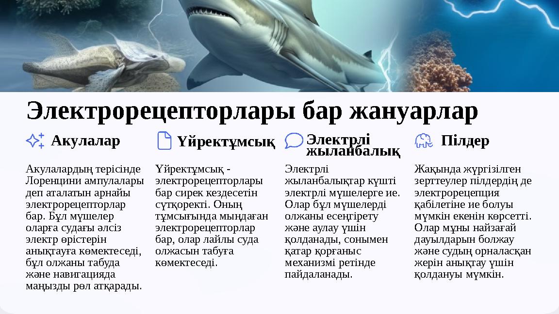 Электрорецепторлары бар жануарлар Акулалар Акулалардың терісінде Лоренцини ампулалары деп аталатын арнайы электрорецепторлар