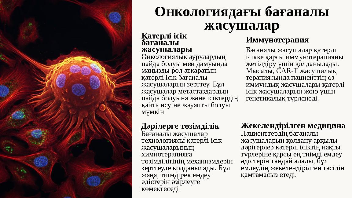 Онкологиядағы бағаналы жасушалар Қатерлі ісік бағаналы жасушалары Онкологиялық аурулардың пайда болуы мен дамуында маңызды