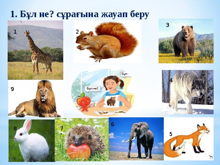 1. Бұл не? сұрағына жауап беру 1 2 3 4 5 6 78 9