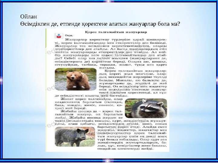 Ойлан Өсімдікпен де, етпенде қоректене алатын жануарлар бола ма?