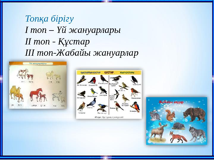 Топқа бірігу І топ – Үй жануарлары ІІ топ - Құстар ІІІ топ-Жабайы жануарлар