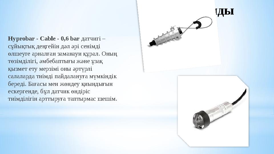 *Қорытынды Hyprobar - Cable - 0,6 bar датчигі – сұйықтық деңгейін дәл әрі сенімді өлшеуге арналған заманауи құрал. Оның төзім