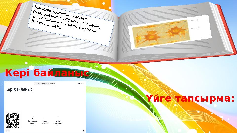 Тапсы рм а 3. Дәпт ермен ж ұмы с. О қулы қт а берілген сурет т і пайдаланы п, ж үйке ұлпасы ж асуш алары н аны қт ап дәпт