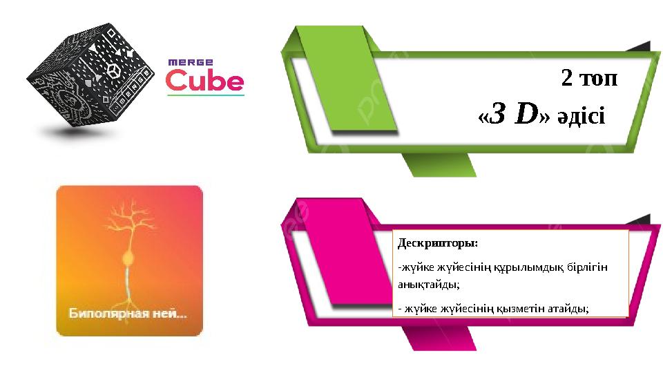 2 топ « 3 D » әдісі Дескрипторы: -жүйке жүйесінің құрылымдық бірлігін анықтайды; - жүйке жүйесінің қызметін атайды;