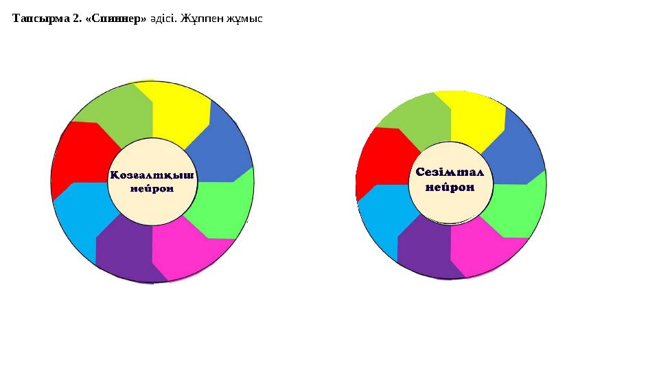 Тапсырма 2. «Спиннер» әдісі. Жұппен жұмыс