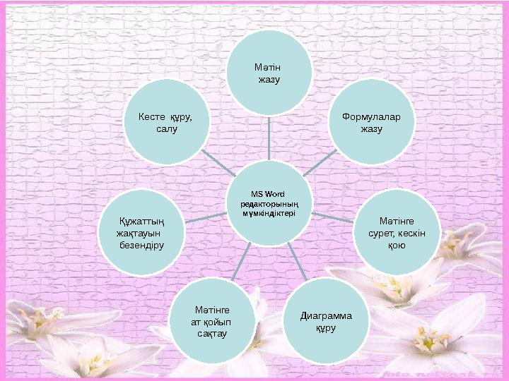 MS Word редакторының мүмкіндіктері Мәтін жазу Формулалар жазу Мәтінге сурет, кескін қою Диаграмма құруМәтінге ат қойып сақтау