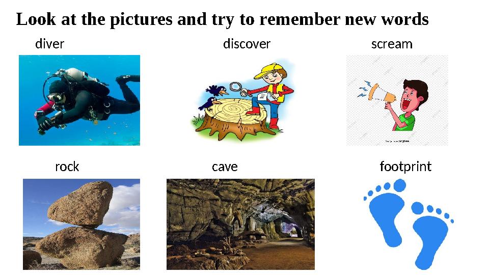 Look at the pictures and try to remember new words diver discover